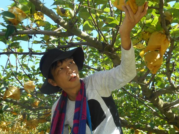 産地体験会様子